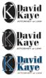 lawyer david taylor kaye david t kaye david kaye legal law san marcos